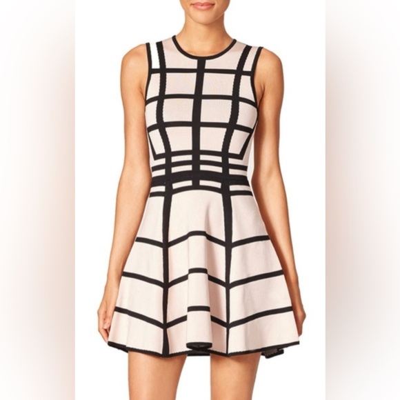 Torn by Ronny Kobo Hilda Pink Black Flare Dress Size Medium - Picture 1 of 10
